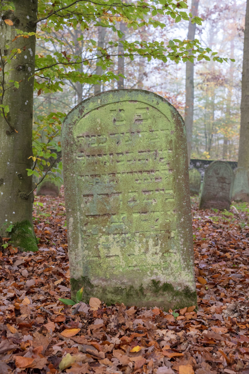 Wenkheim, 2017