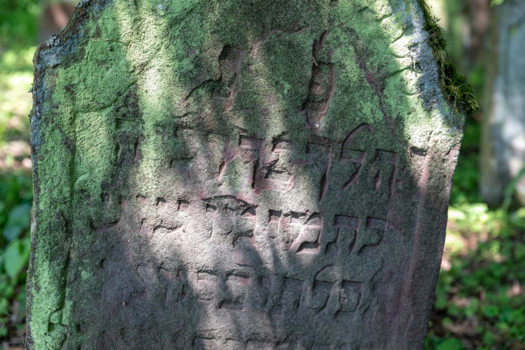Külsheim, 2019